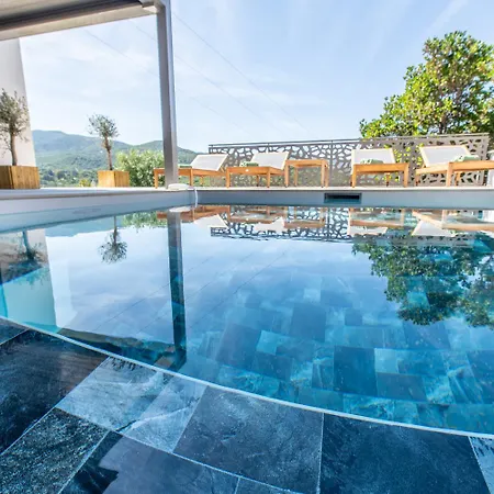 Nouveaute ! Magnifique De Standing Avec Piscine, Entre Et Montagnes, A 3 Minutes Des Belles Plages De La Rive Sud Villa Porticcio (Corsica)